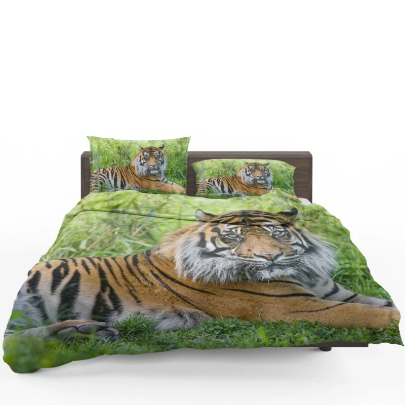 Tiger Grace Wilderness Elegance Bedding Set