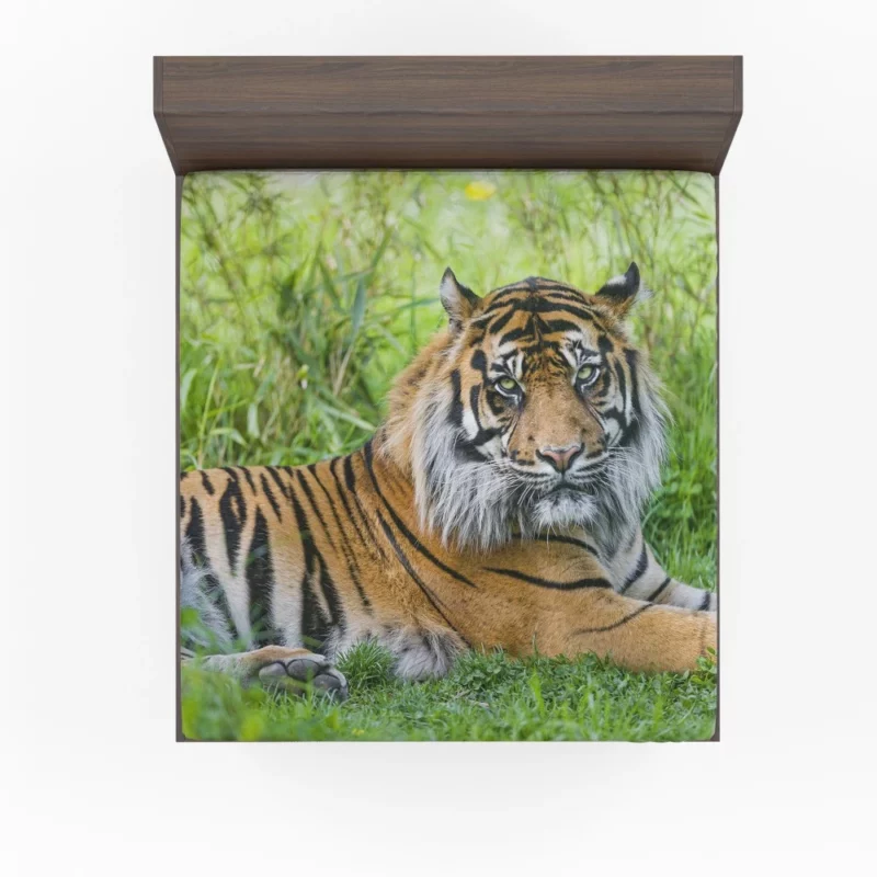 Tiger Grace Wilderness Elegance Fitted Sheet 1