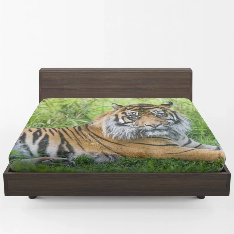 Tiger Grace Wilderness Elegance Fitted Sheet