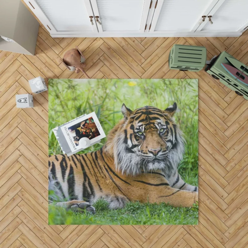 Tiger Grace Wilderness Elegance Rug