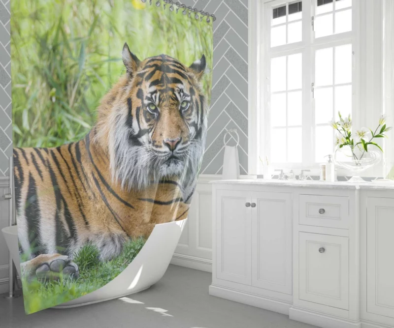 Tiger Grace Wilderness Elegance Shower Curtain 1