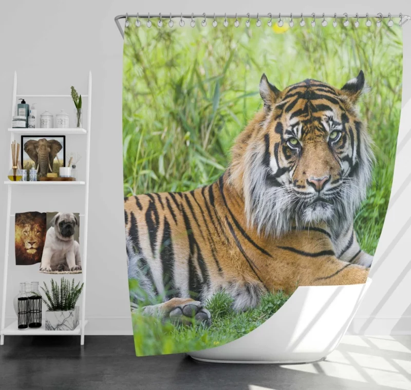 Tiger Grace Wilderness Elegance Shower Curtain