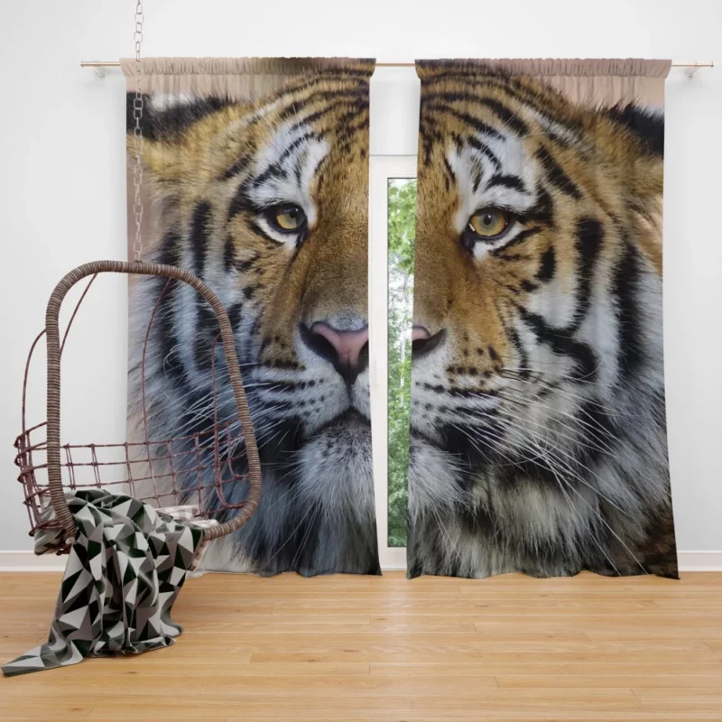 Tiger Graceful Curtain