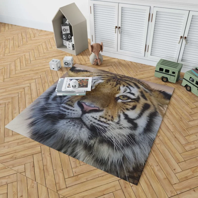 Tiger Graceful Rug 1