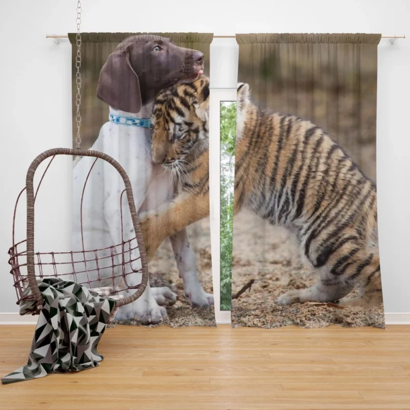 Tiger Hug with Loving Dog Furry Bonds Curtain