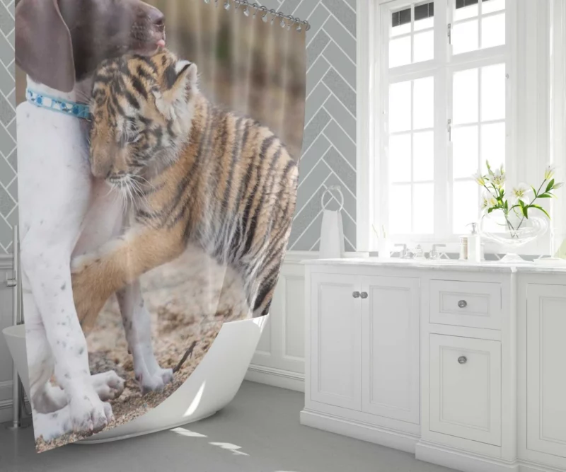 Tiger Hug with Loving Dog Furry Bonds Shower Curtain 1