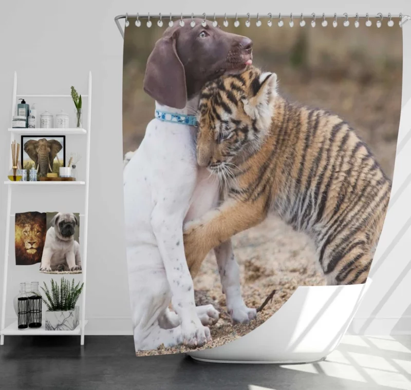 Tiger Hug with Loving Dog Furry Bonds Shower Curtain