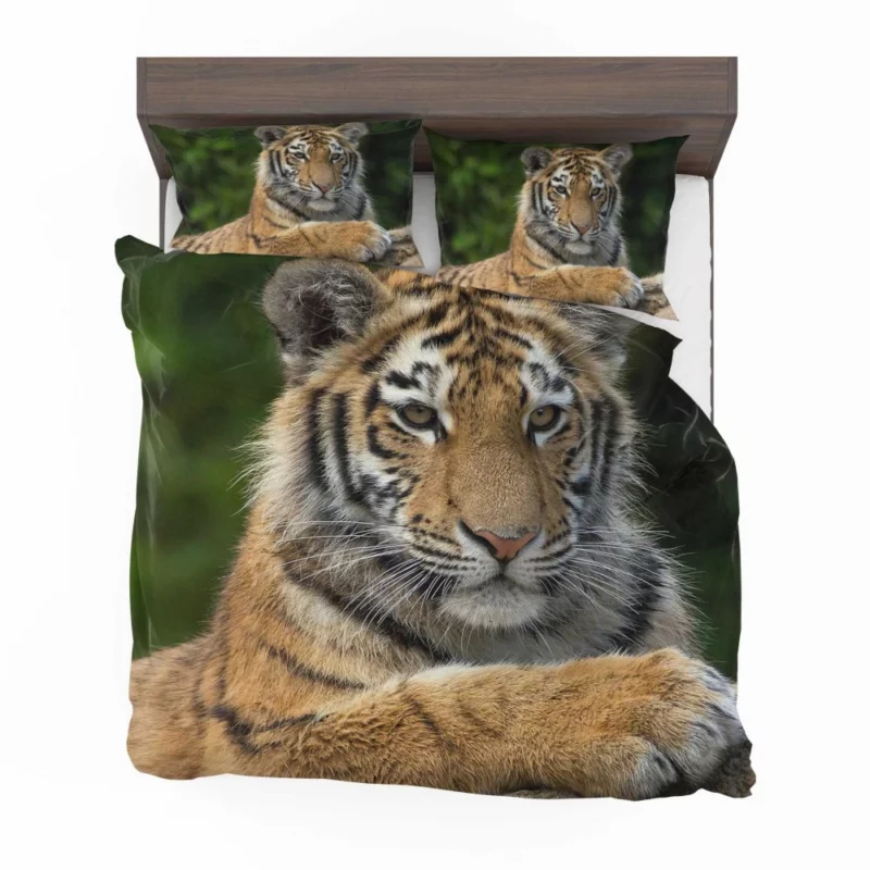 Tiger Inquisitive Bedding Set 1