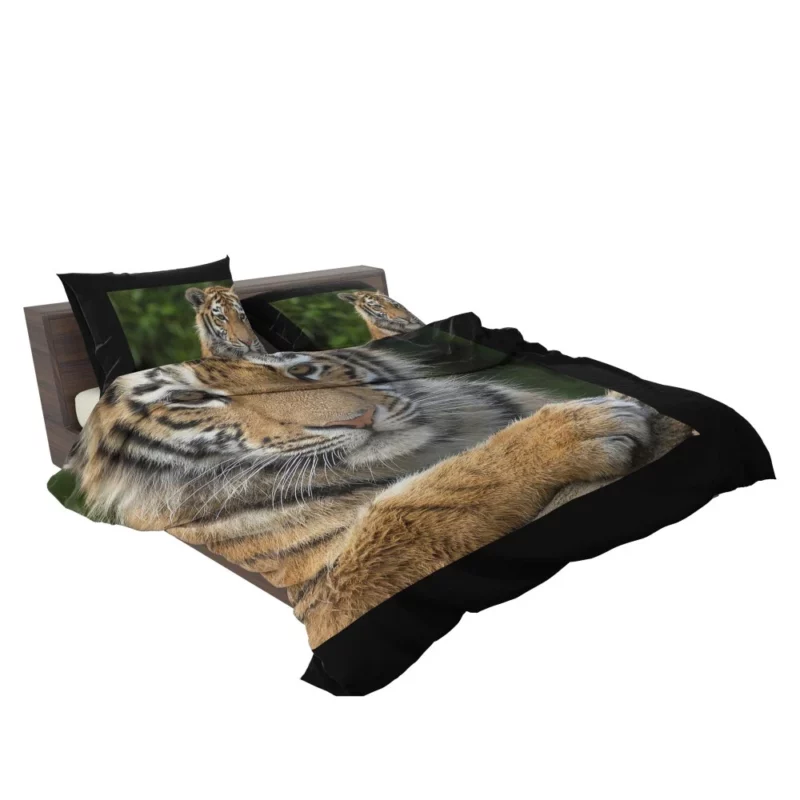 Tiger Inquisitive Bedding Set 2