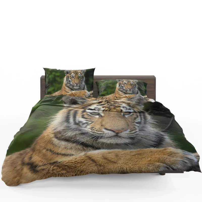 Tiger Inquisitive Bedding Set