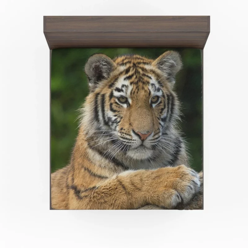 Tiger Inquisitive Fitted Sheet 1