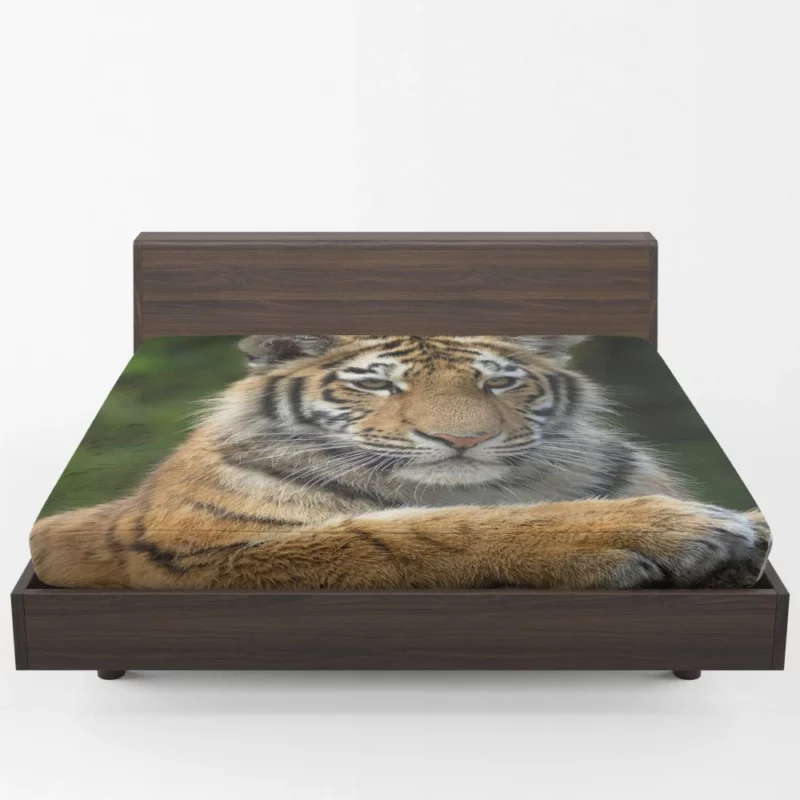 Tiger Inquisitive Fitted Sheet