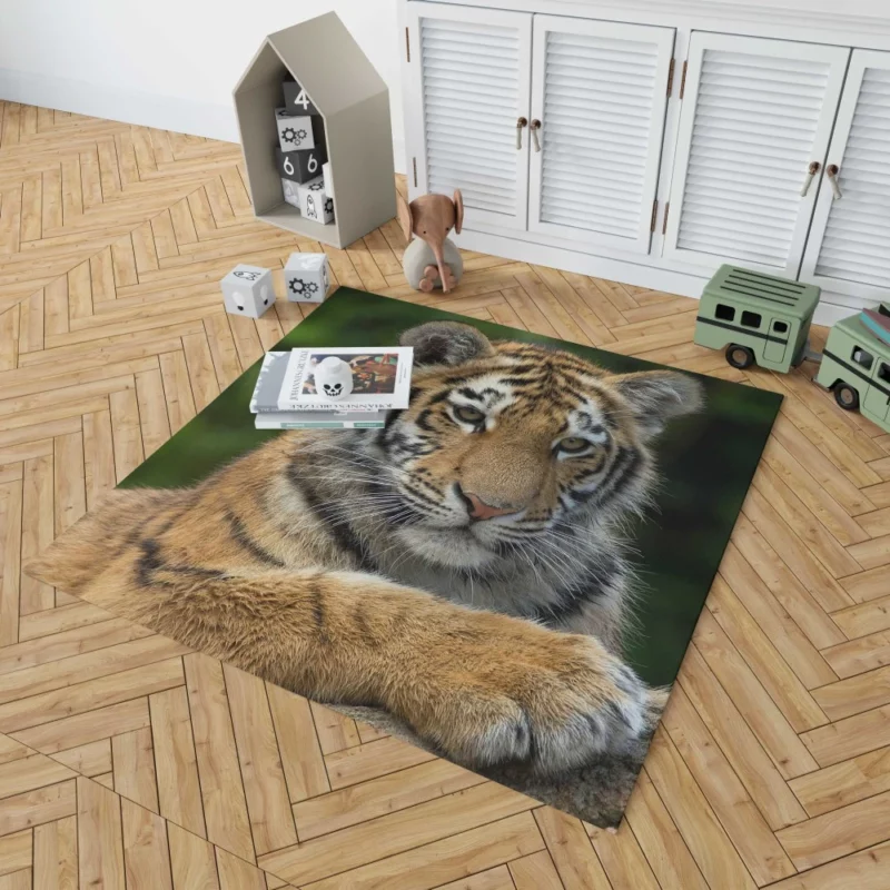 Tiger Inquisitive Rug 1