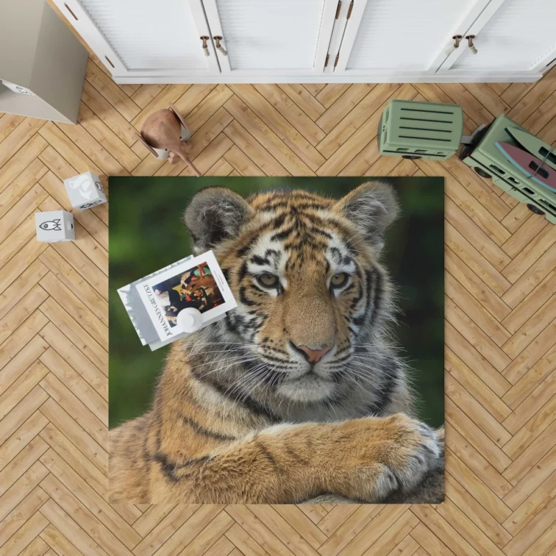 Tiger Inquisitive Rug