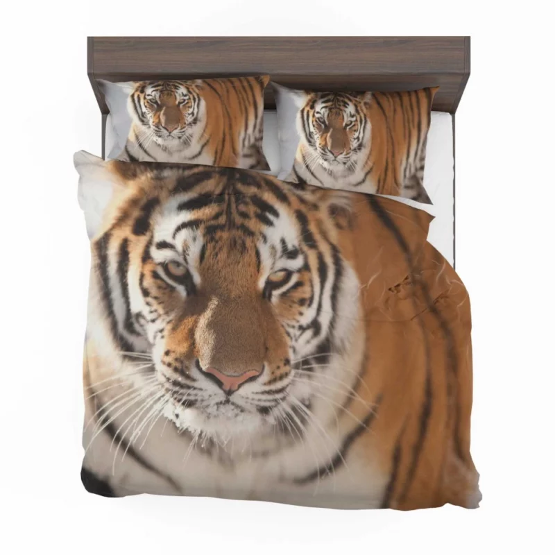 Tiger Intense Focus Bedding Set 1