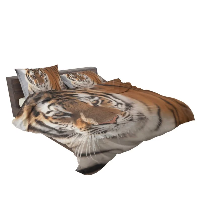 Tiger Intense Focus Bedding Set 2