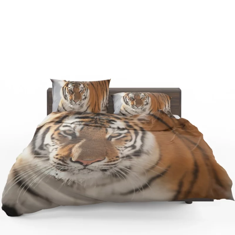 Tiger Intense Focus Bedding Set