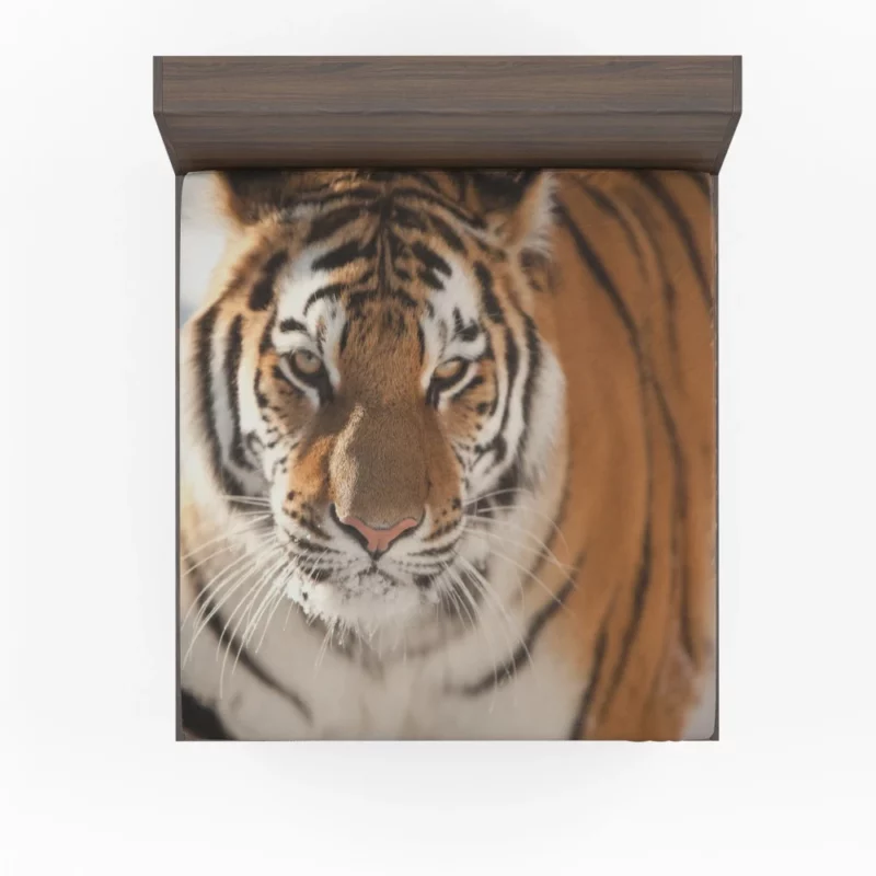 Tiger Intense Focus Fitted Sheet 1