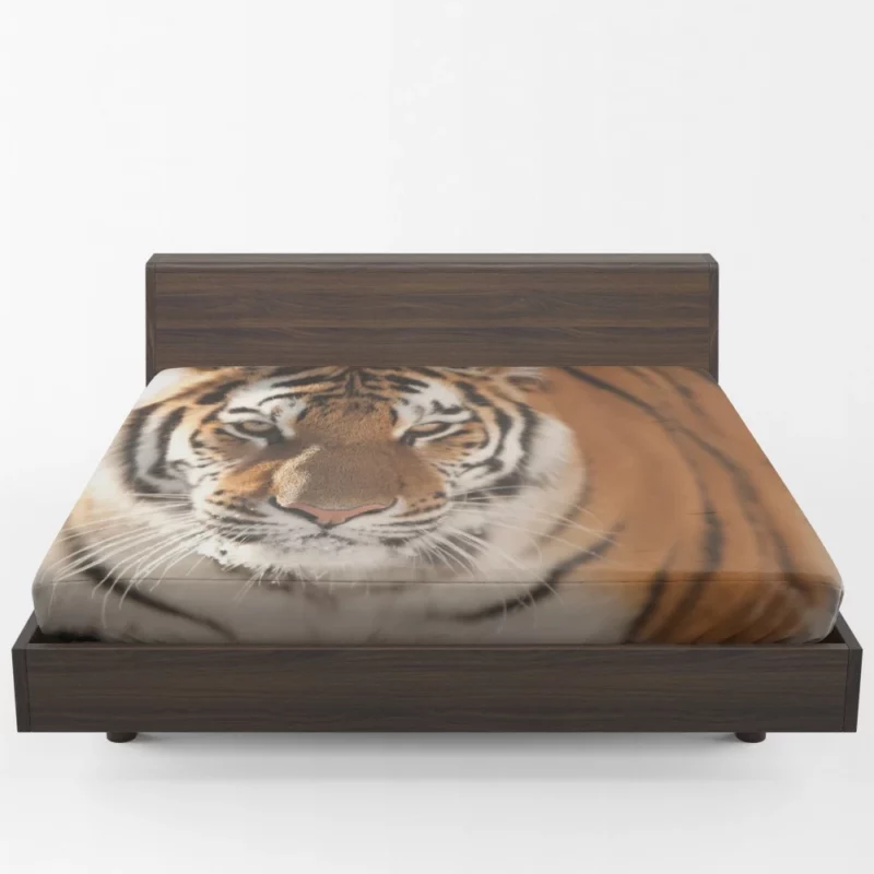 Tiger Intense Focus Fitted Sheet