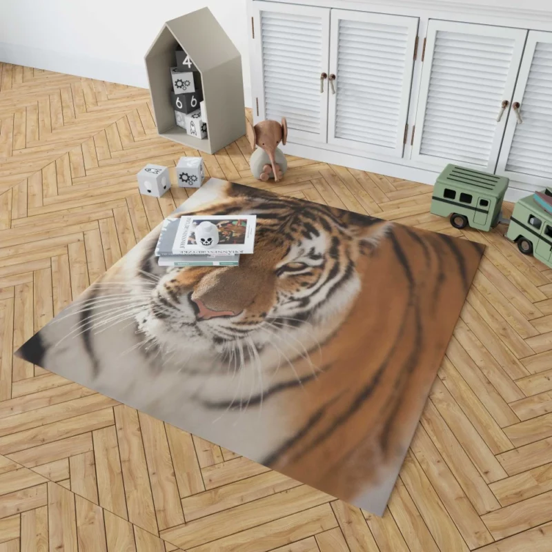 Tiger Intense Focus Rug 1