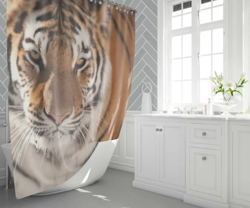 Tiger Intense Focus Shower Curtain 1