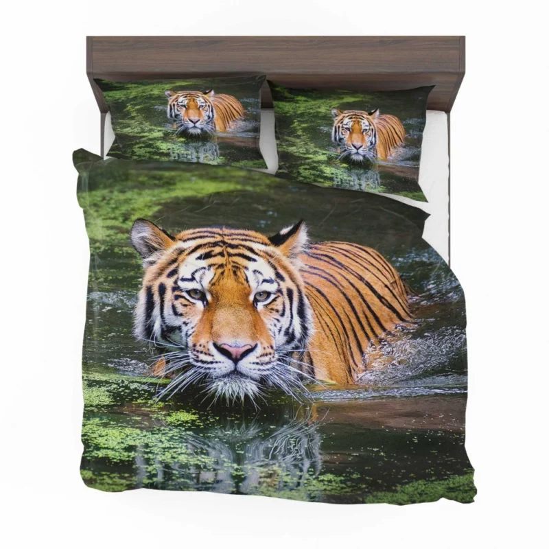 Tiger Intense Gaze Enigmatic Majesty Bedding Set 1