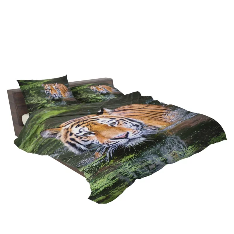 Tiger Intense Gaze Enigmatic Majesty Bedding Set 2