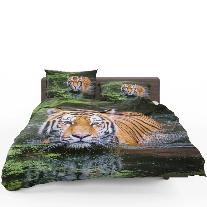 Tiger Intense Gaze Enigmatic Majesty Bedding Set