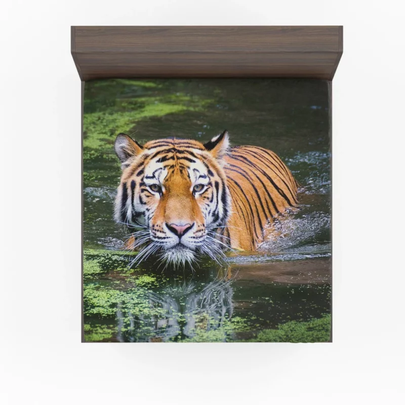 Tiger Intense Gaze Enigmatic Majesty Fitted Sheet 1