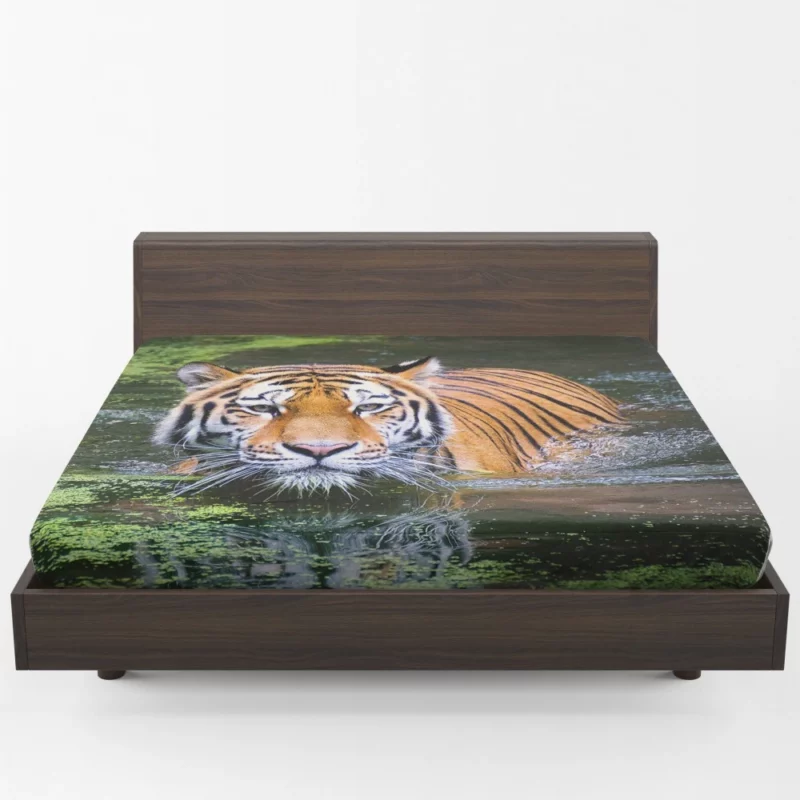 Tiger Intense Gaze Enigmatic Majesty Fitted Sheet