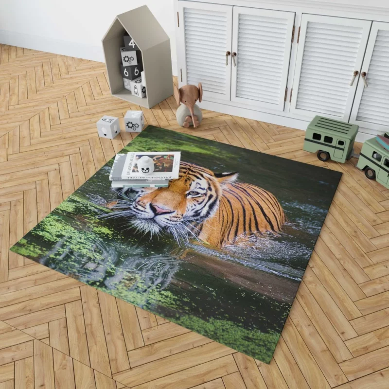 Tiger Intense Gaze Enigmatic Majesty Rug 1