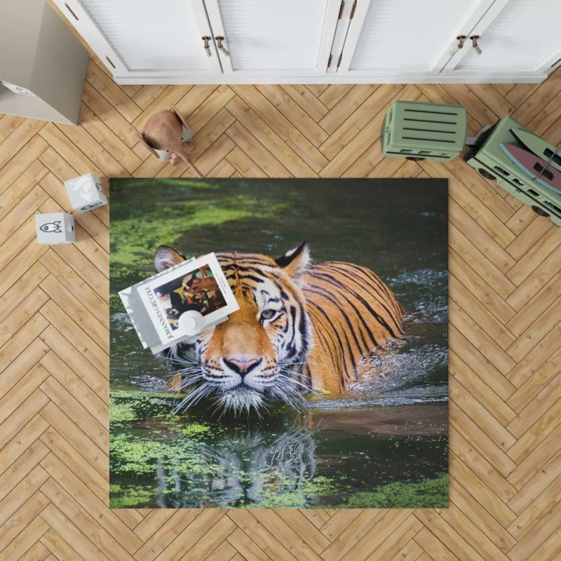 Tiger Intense Gaze Enigmatic Majesty Rug