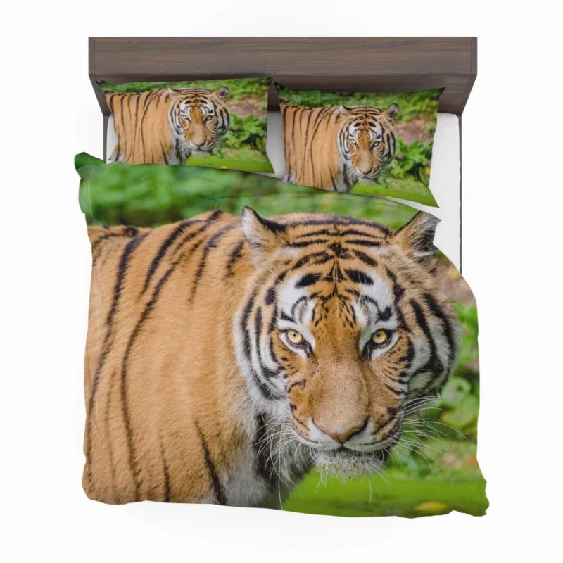 Tiger Intense Gaze Fierce Intrigue Bedding Set 1