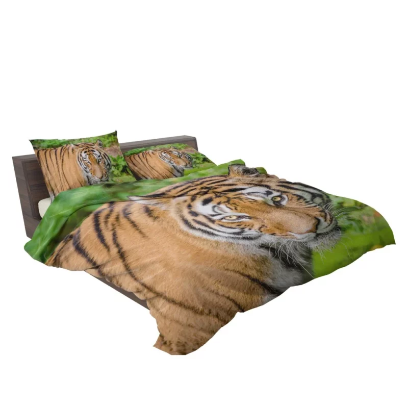 Tiger Intense Gaze Fierce Intrigue Bedding Set 2