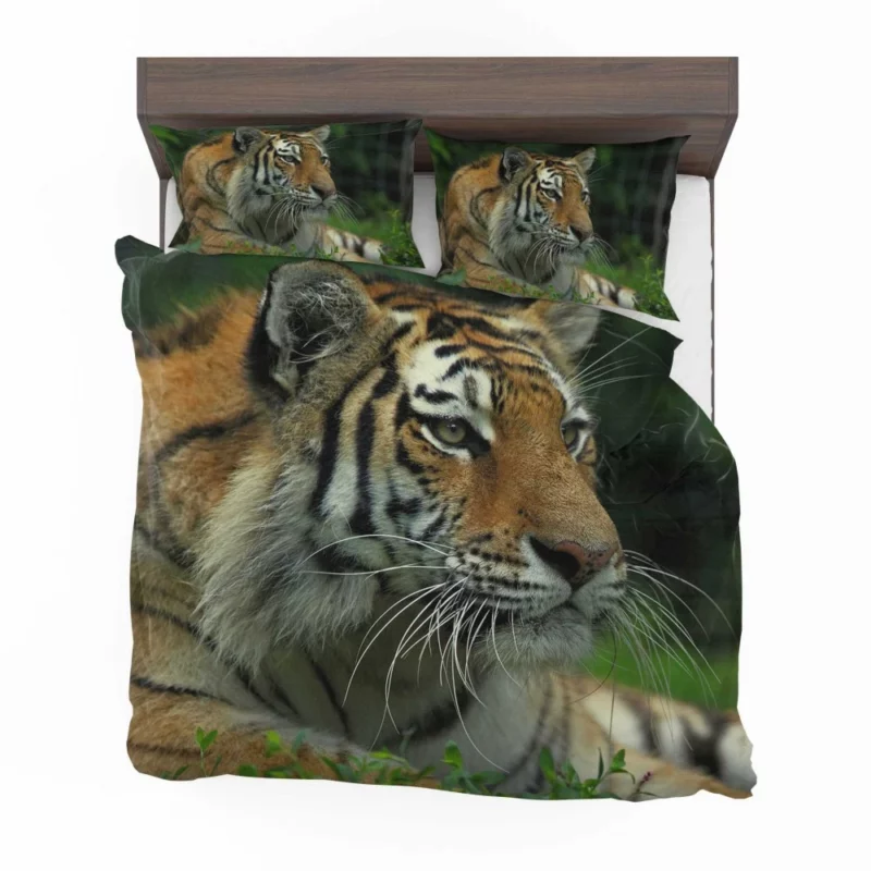 Tiger Intense Gaze Wilderness Power Bedding Set 1