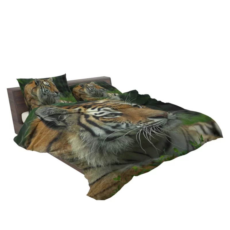 Tiger Intense Gaze Wilderness Power Bedding Set 2