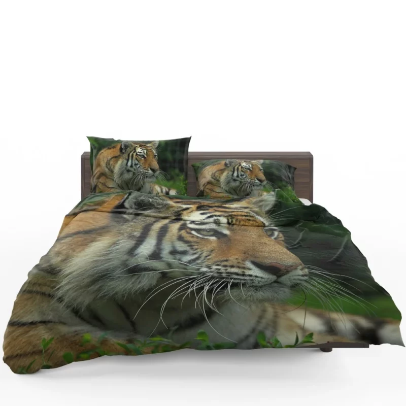 Tiger Intense Gaze Wilderness Power Bedding Set