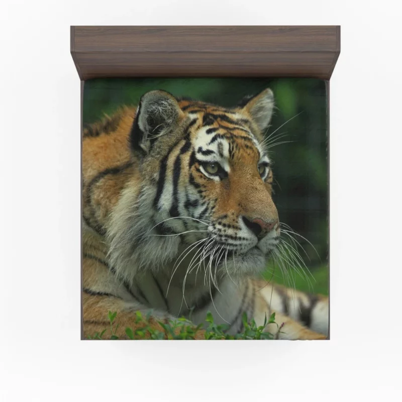 Tiger Intense Gaze Wilderness Power Fitted Sheet 1