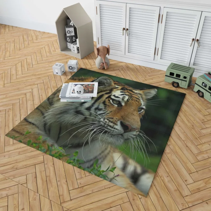 Tiger Intense Gaze Wilderness Power Rug 1