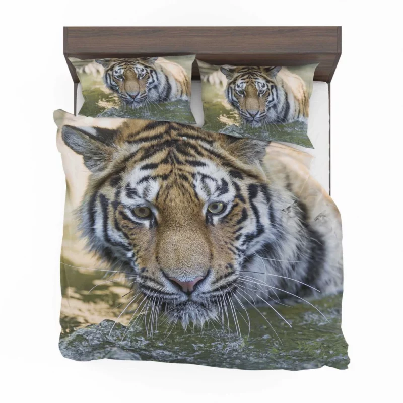 Tiger Intense Muzzle Wilderness Gaze Bedding Set 1