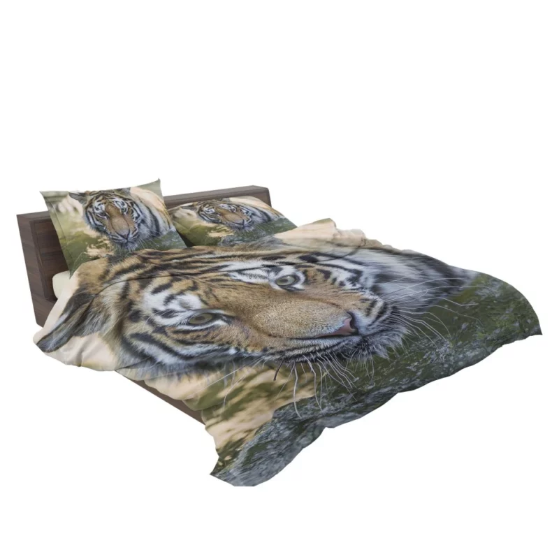 Tiger Intense Muzzle Wilderness Gaze Bedding Set 2