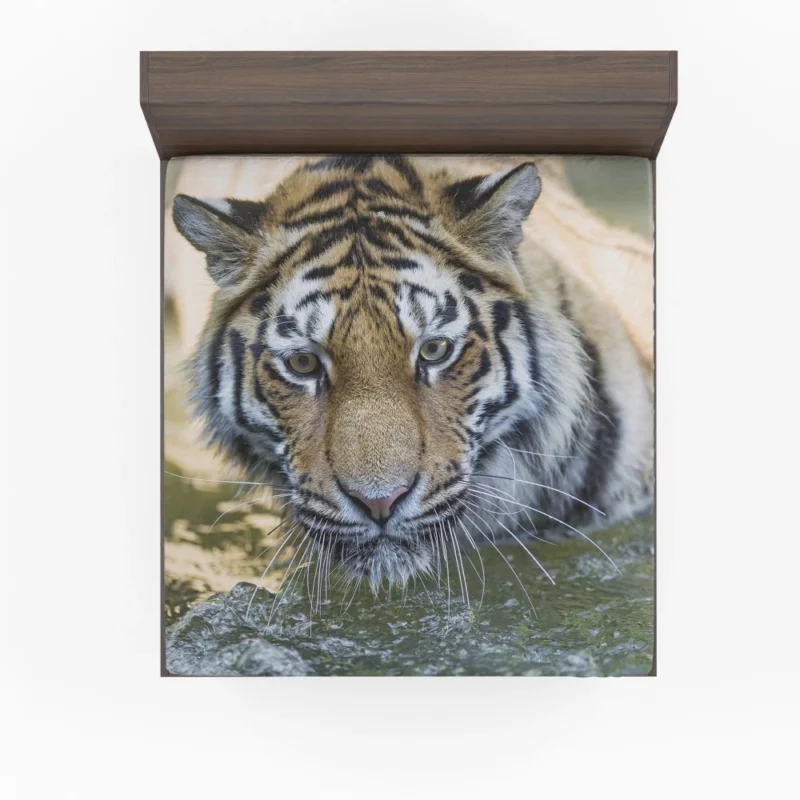 Tiger Intense Muzzle Wilderness Gaze Fitted Sheet 1