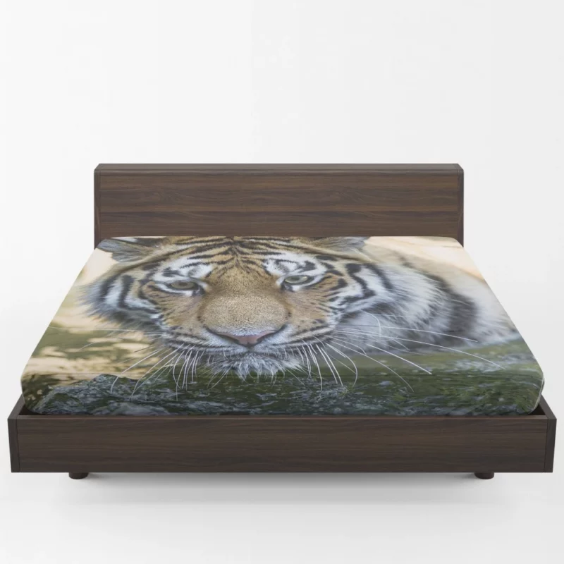 Tiger Intense Muzzle Wilderness Gaze Fitted Sheet