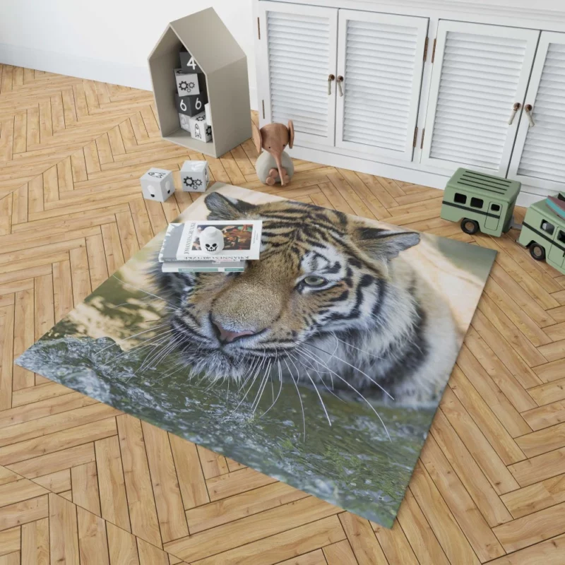 Tiger Intense Muzzle Wilderness Gaze Rug 1