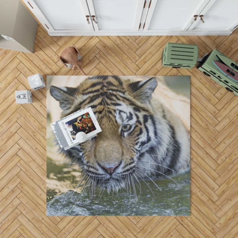 Tiger Intense Muzzle Wilderness Gaze Rug