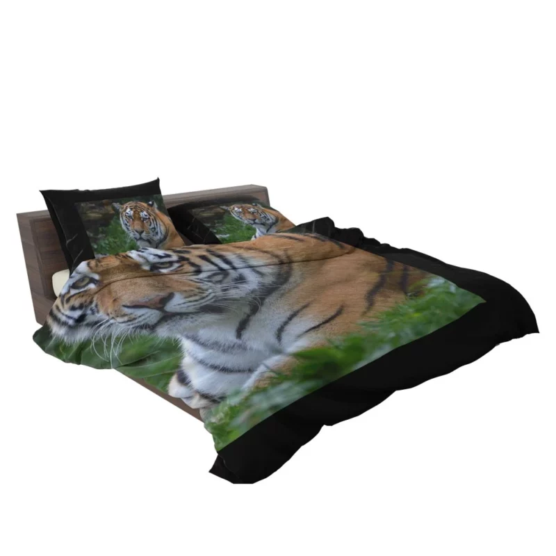 Tiger Intense Stare Feline Majesty Bedding Set 2