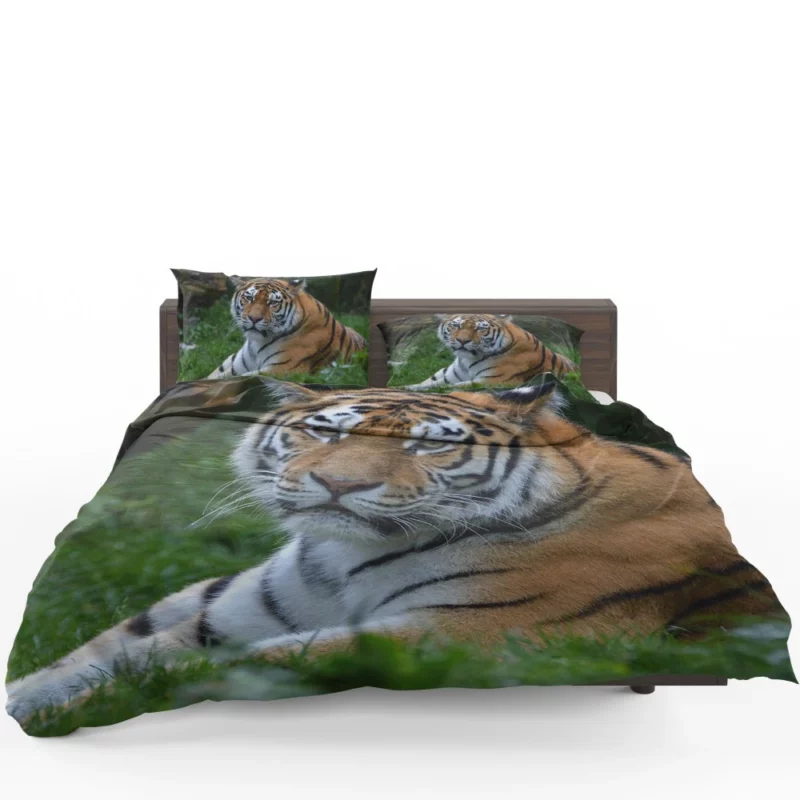 Tiger Intense Stare Feline Majesty Bedding Set