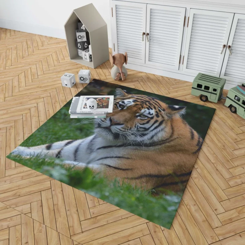 Tiger Intense Stare Feline Majesty Rug 1