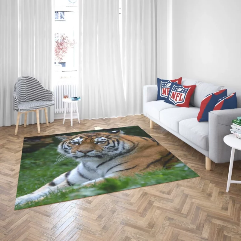 Tiger Intense Stare Feline Majesty Rug 2