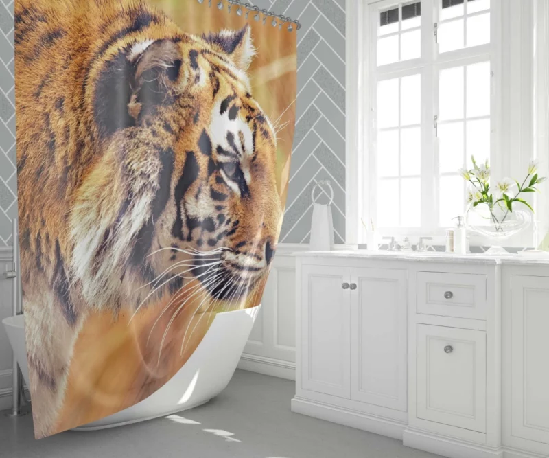 Tiger Intense Stare Wild Intrigue Shower Curtain 1